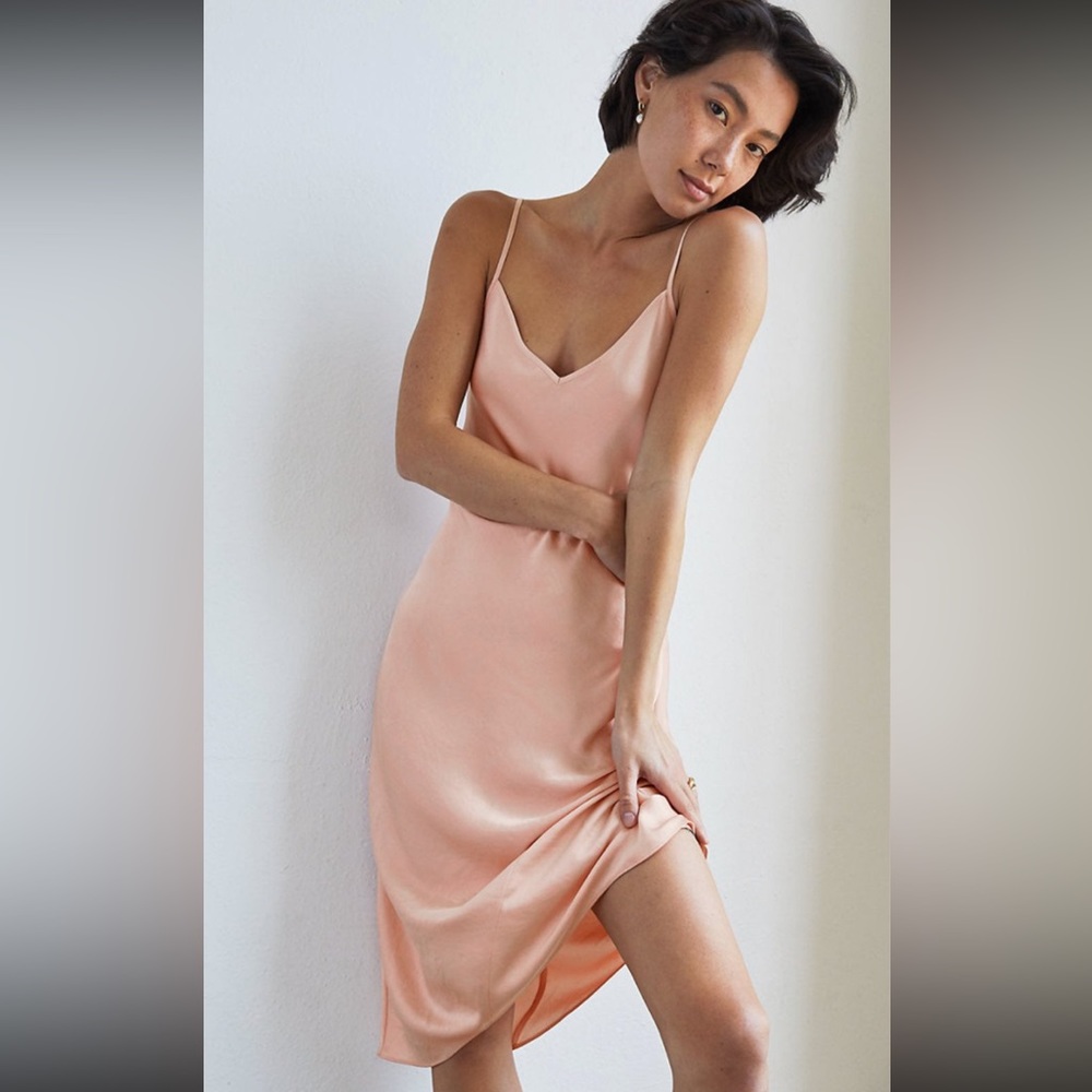 Aritzia Wilfred Only Slip